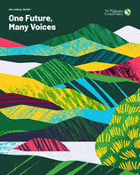 One Future, Many Voices