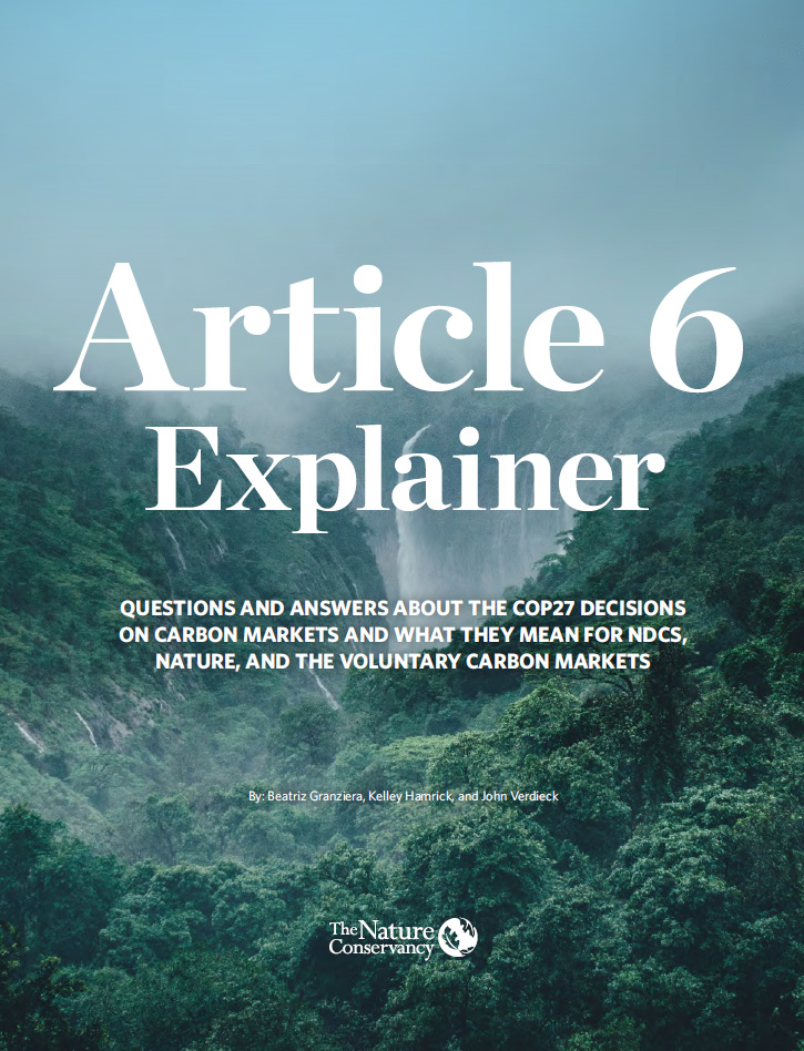 Cover of Article 6 Explainer
