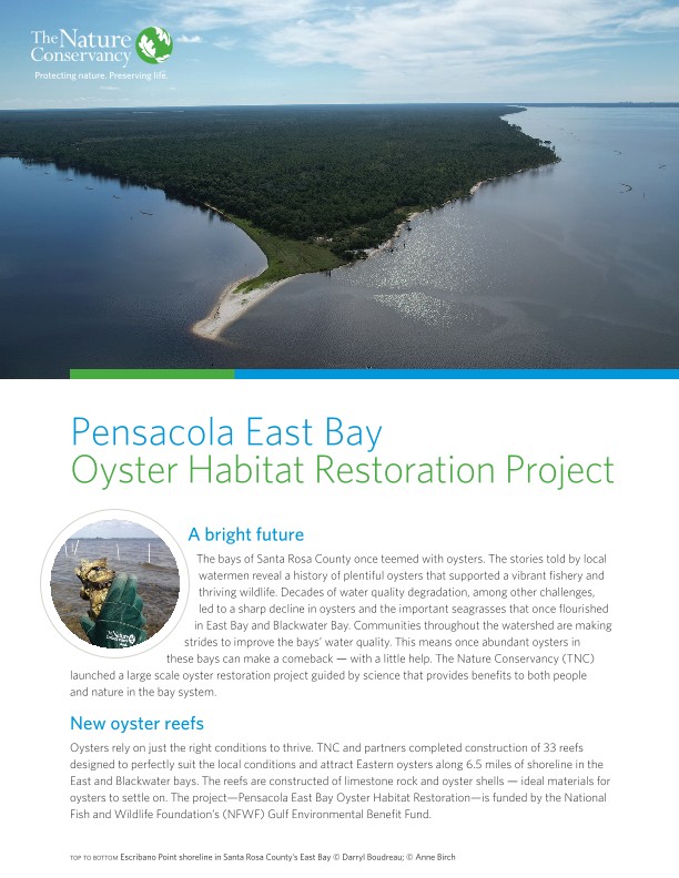 Pensacola East Bay Oyster Restoration Fact Sheet