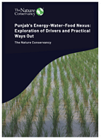 Cover of Punjab's Energy-Water-Food Nexus report.