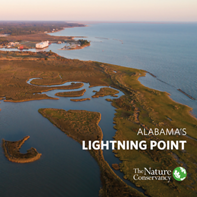 A fact sheet summarizes The Nature Conservancy's project at Lightning Point in Alabama.