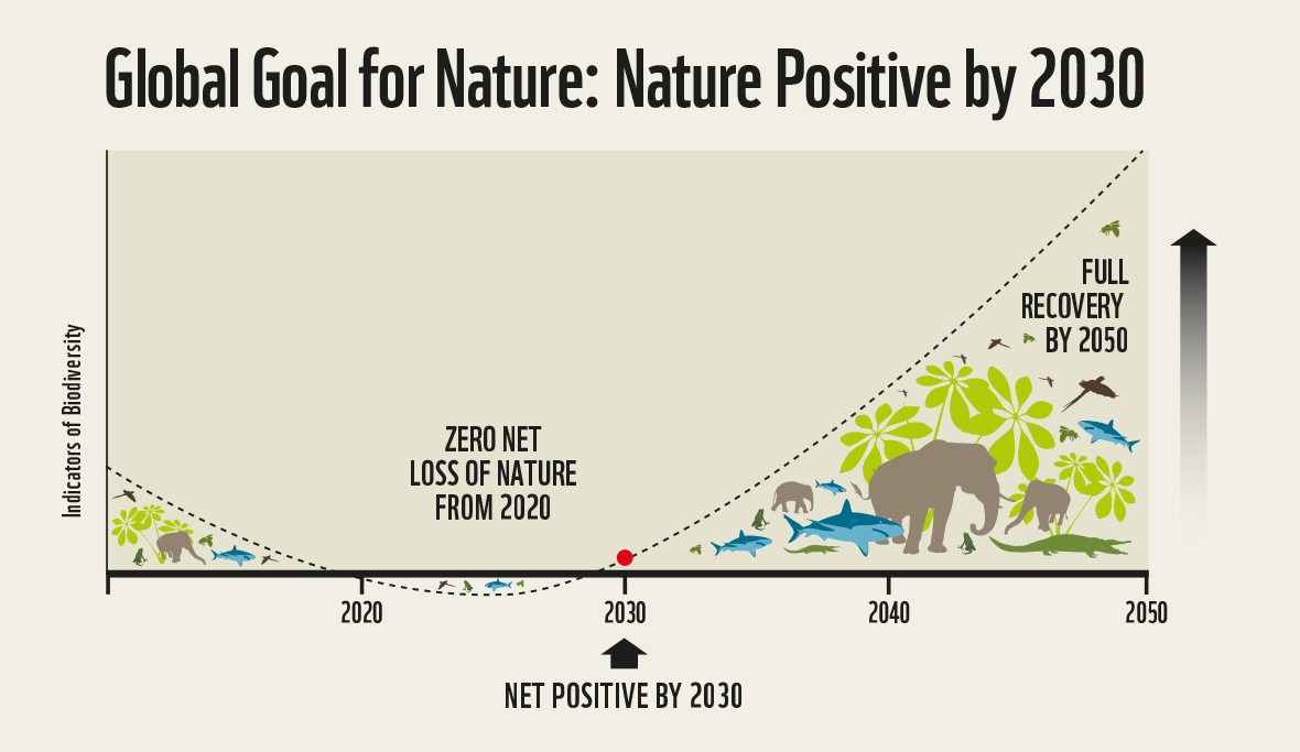 Nature Positive by 2030