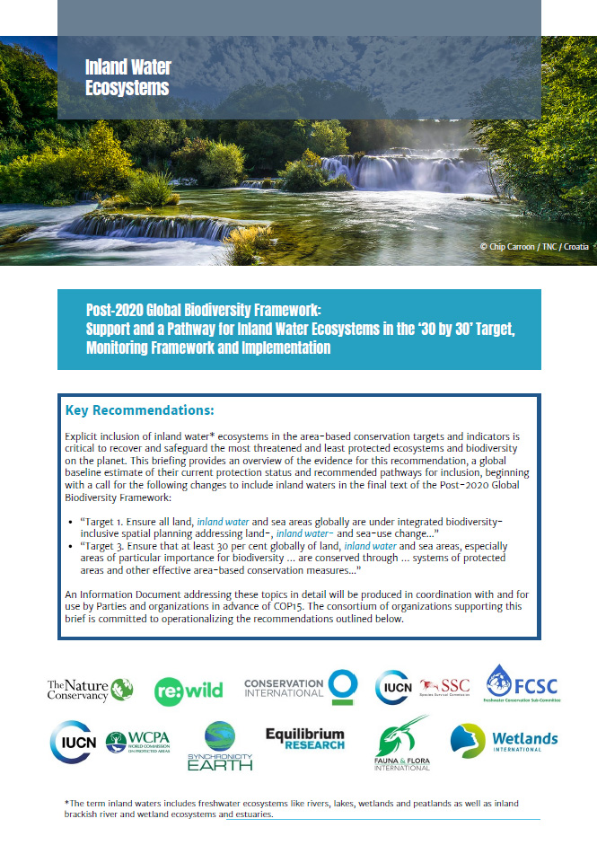 Cover of Inland Water Ecosystem briefing.