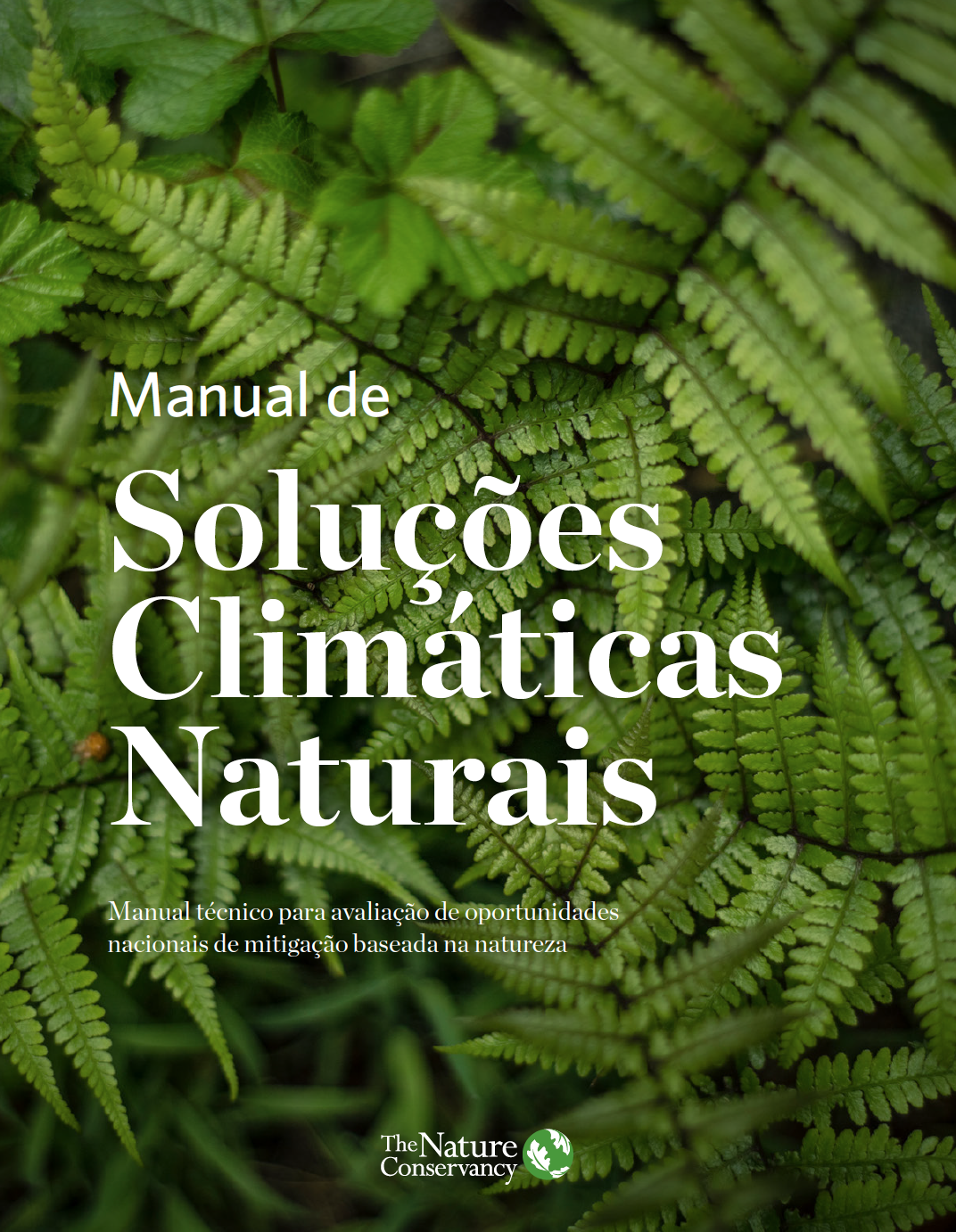 Text that says Natural Climate Solutions Handbook in Portuguese with micro shot of ferns.