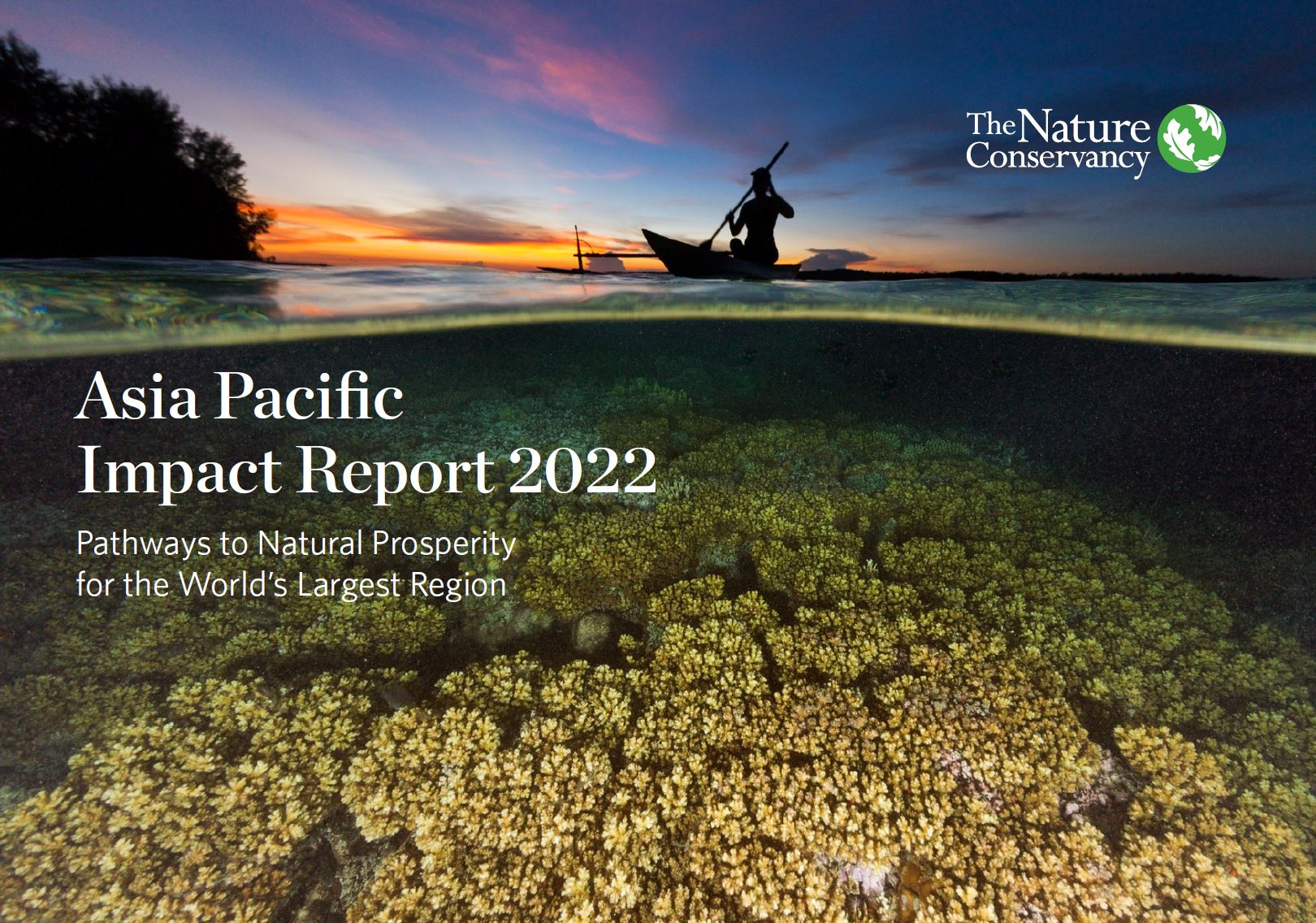 TNC Asia Pacific Impact Report 2022
