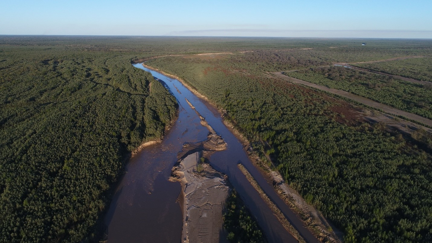 expansive view of a river running through a forest