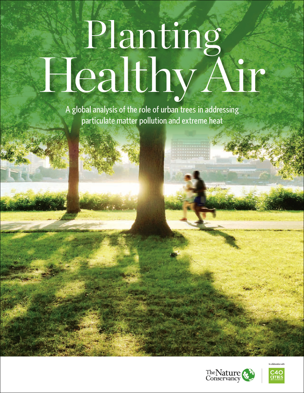 Planting Healthy Air