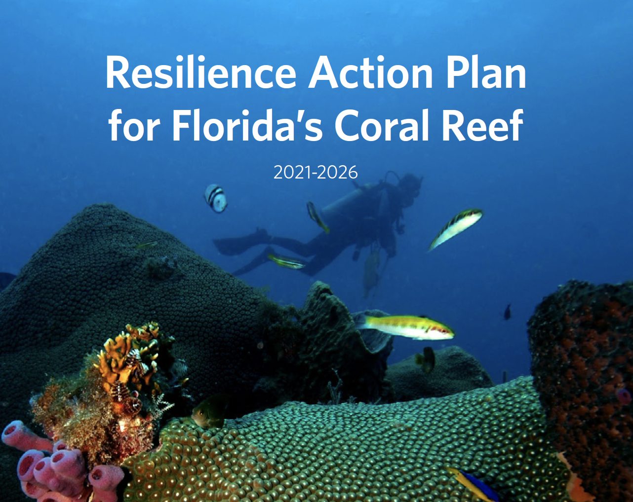 Resilience Action Plan for Florida’s Coral Reef.